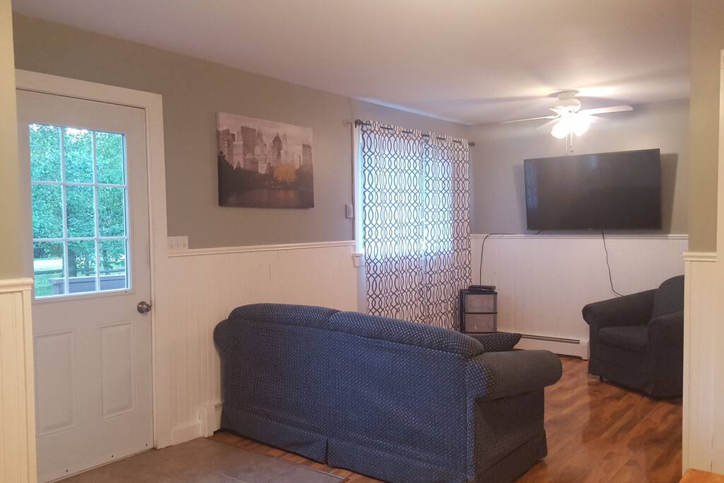 living room with pull out bed