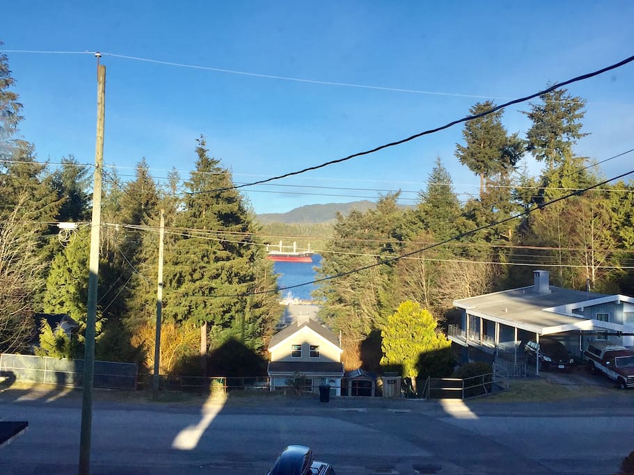 Nice bright views from the living room windows.