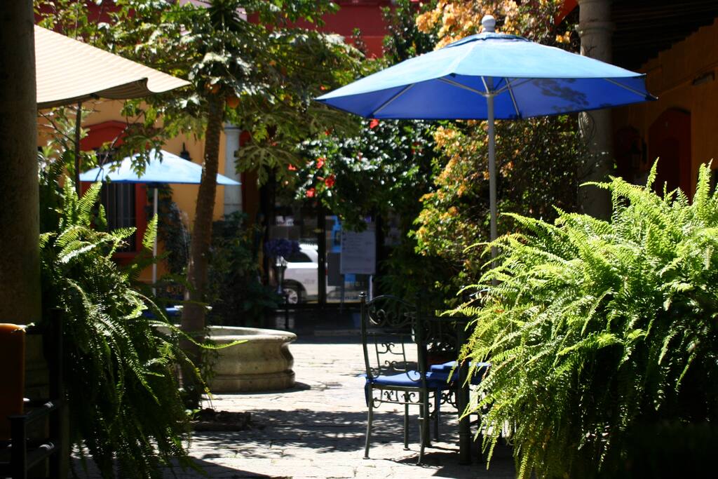 jardin
