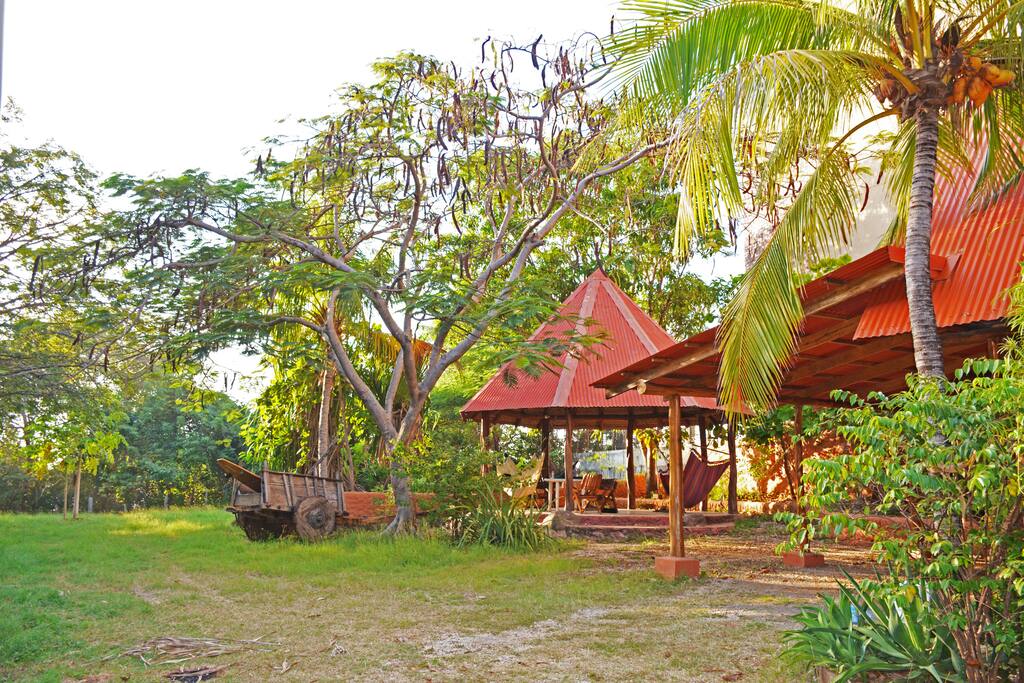 the yard with shaded hammock area
