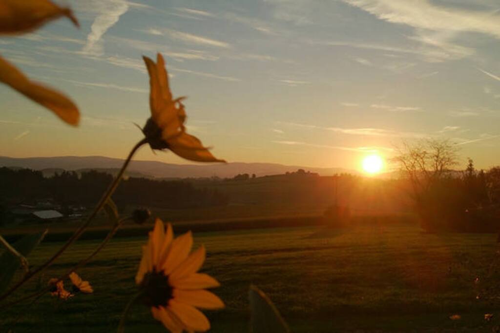 Aussicht