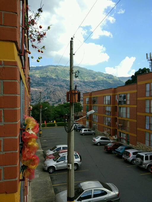 View from living room