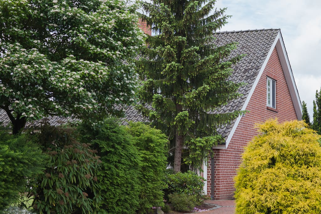 Außenansicht des Einfamilienhauses