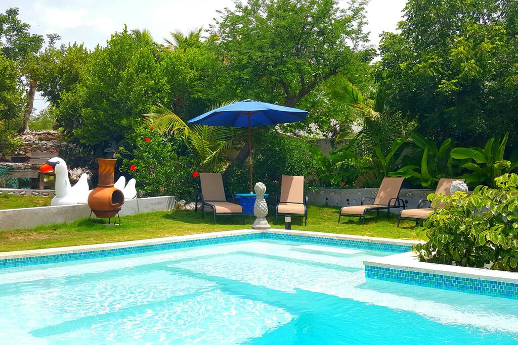 pool with beautiful tropical gardens