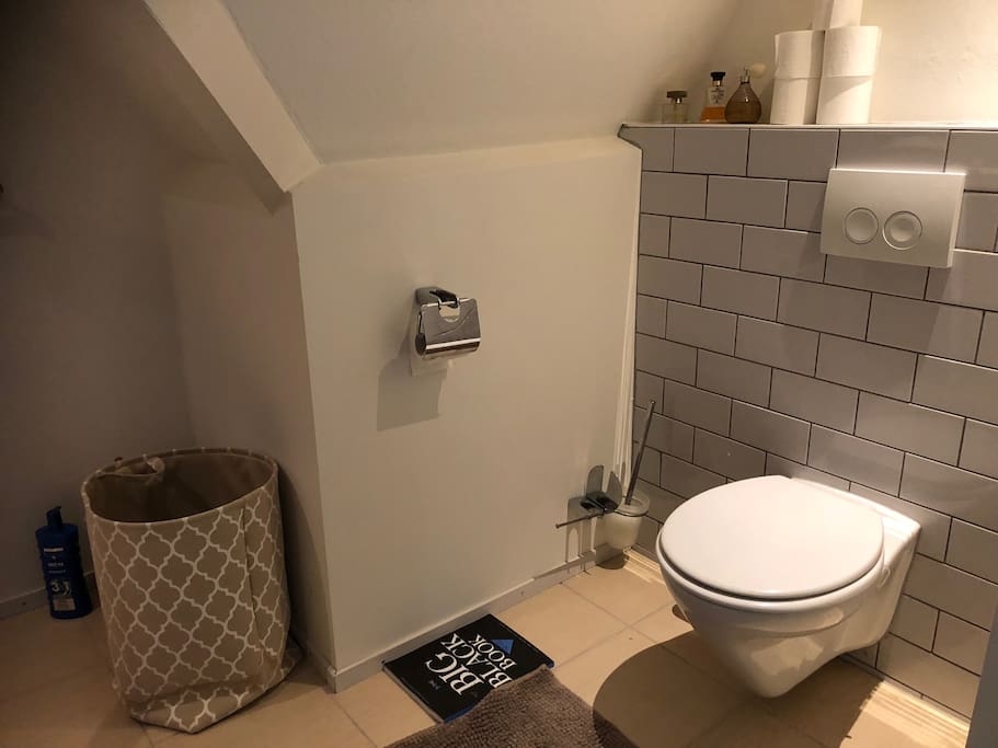 badkamer met toilet luxe douchecabine en badkamermeubel