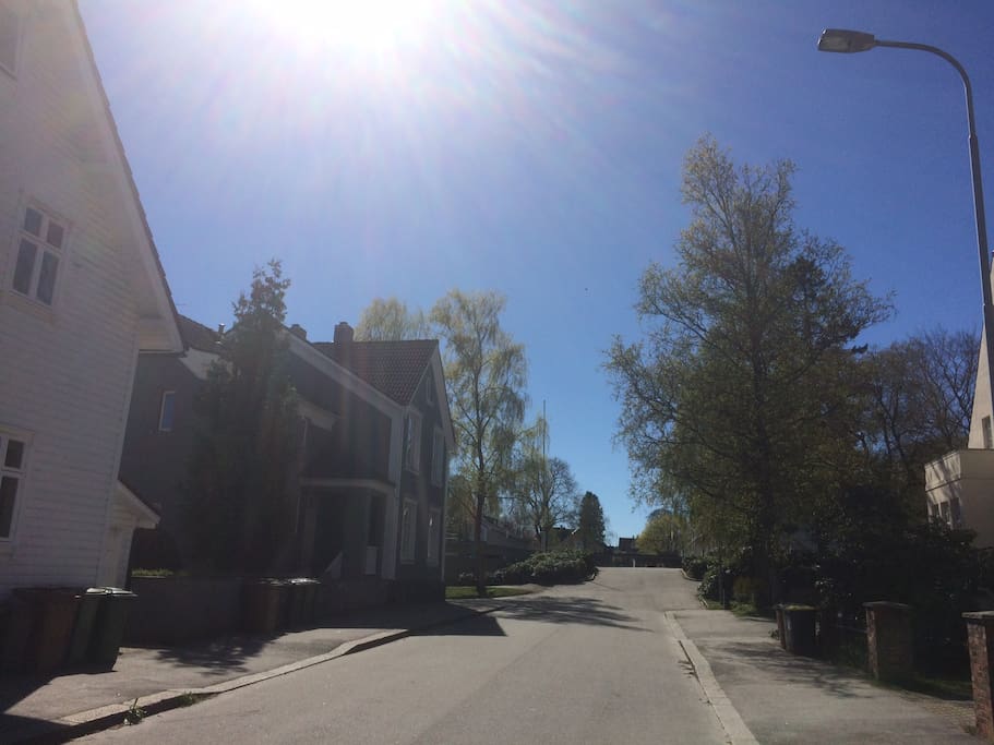 Street