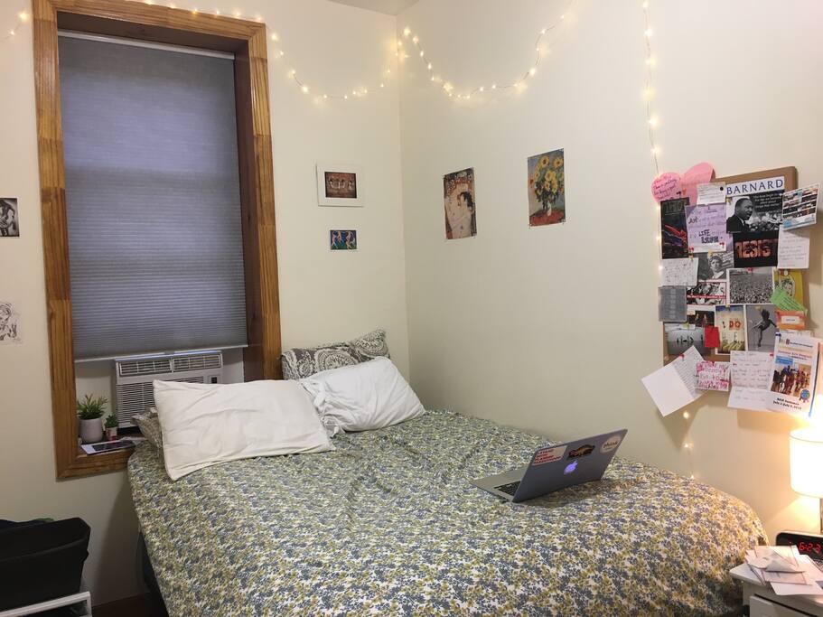 private bedroom (comes with air conditioner and closet outside door!)