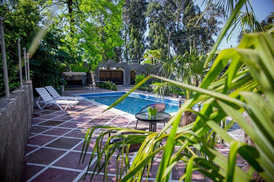A clear view of a swimming pool is framed by lush greenery and palm leaves. Surrounding the pool is a stone patio with lounge chairs and a small table, creating a relaxed outdoor space. Elements of stone walls and trees provide a natural backdrop.