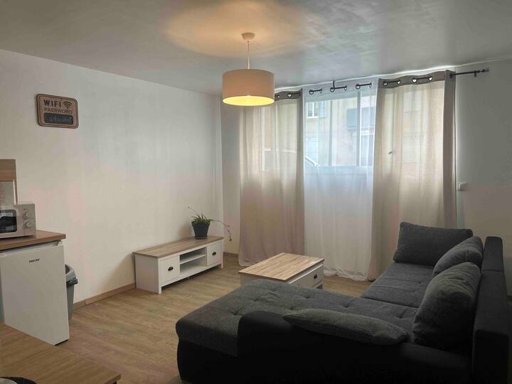 Appartement Proche Centre Ville Parc Des Expo - Castres