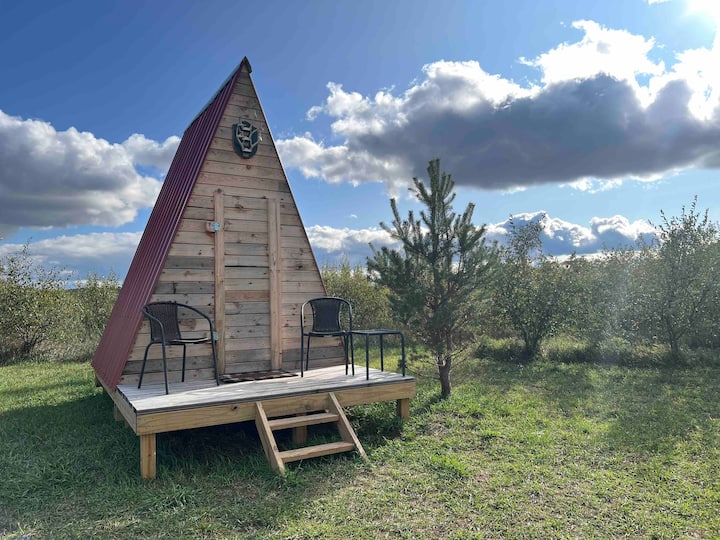 Top 8 Romantic Airbnbs In Michigan, USA, For Hopeless Romantics Looking