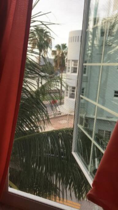 View from the window.