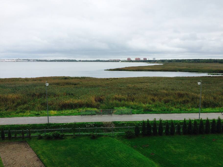 View from window 1