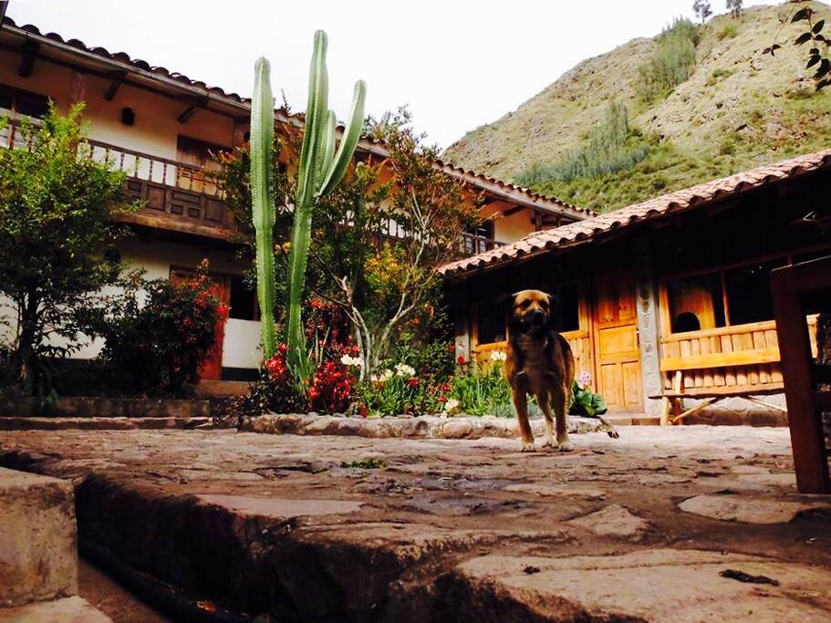 Casita Huaran