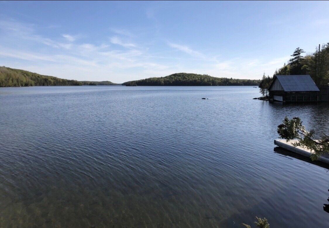 A serene lakeside view captures calm waters reflecting a clear blue sky. Lush greenery lines the horizon, while a boathouse is situated along the water's edge, offering easy access to activities on the lake.