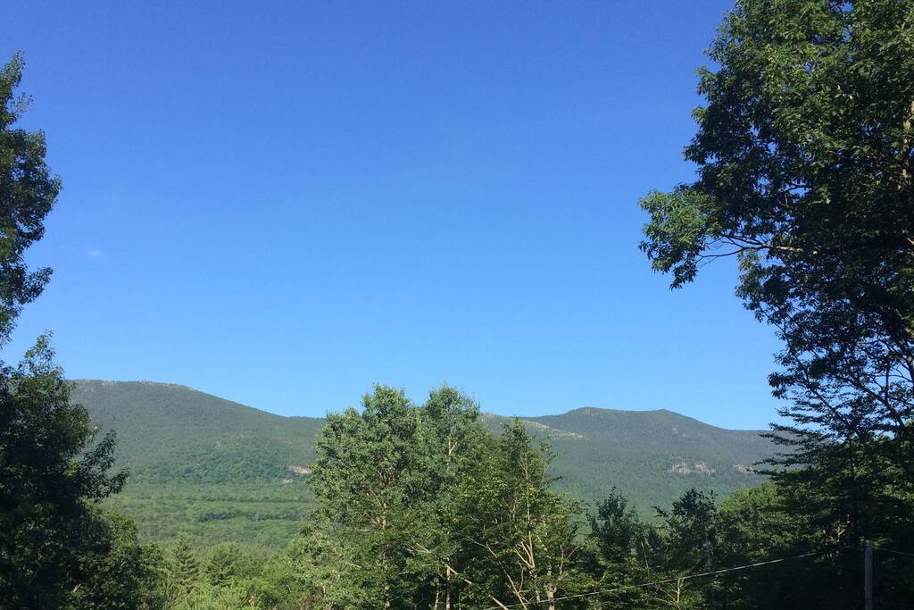 View out Living Room and Bedroom Window