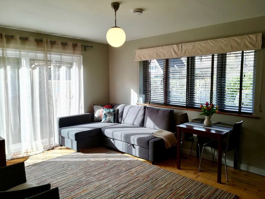 Living/dining area with sofa bed