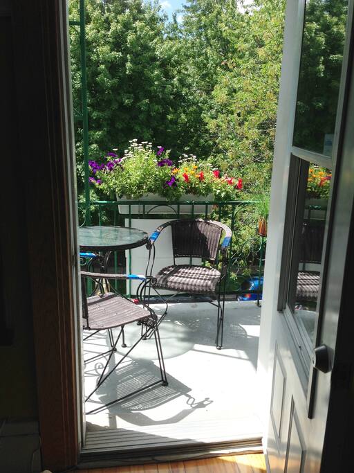 Balcon: parc molson.
Balcony: Molson park