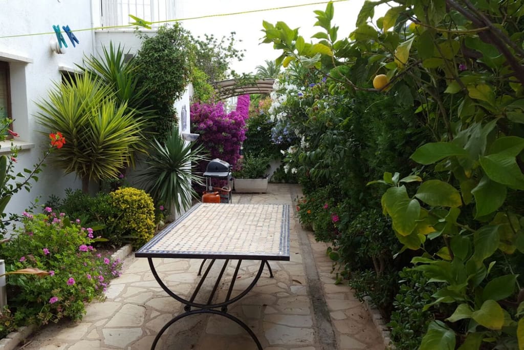 Patio terraza