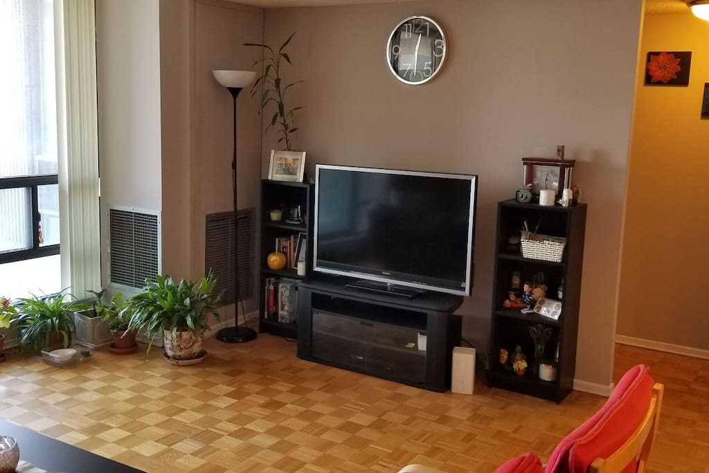 TV unit in Living Room