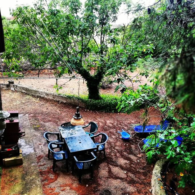 Barbecue pranzo all'aperto