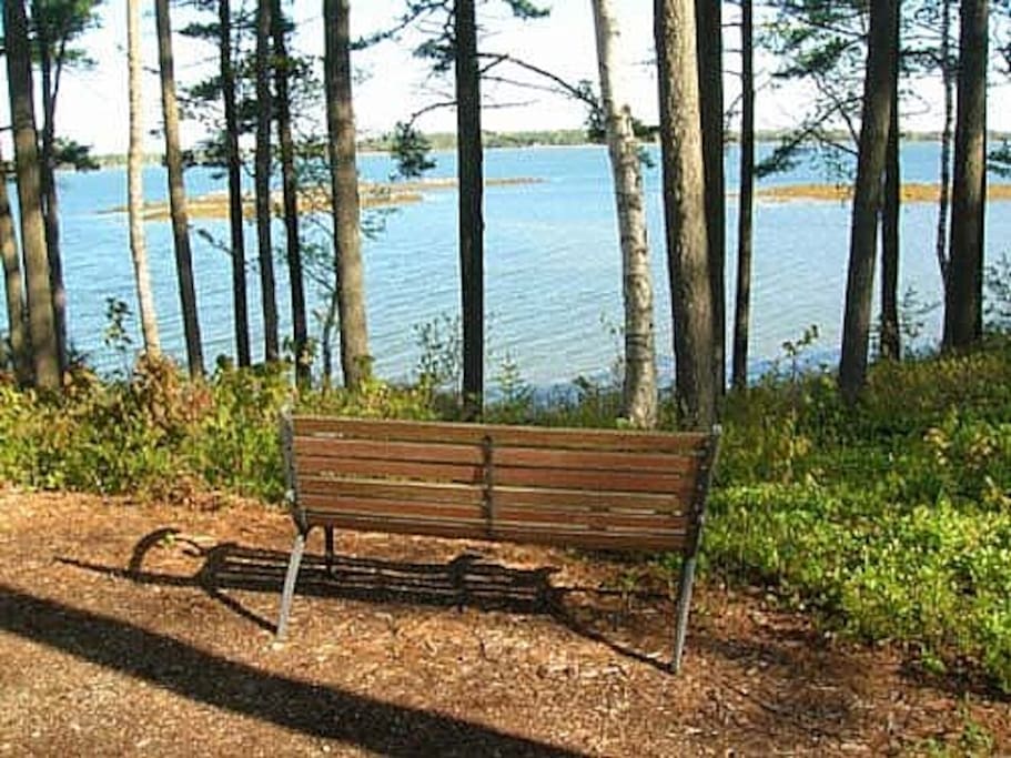 bench on the way to path to water