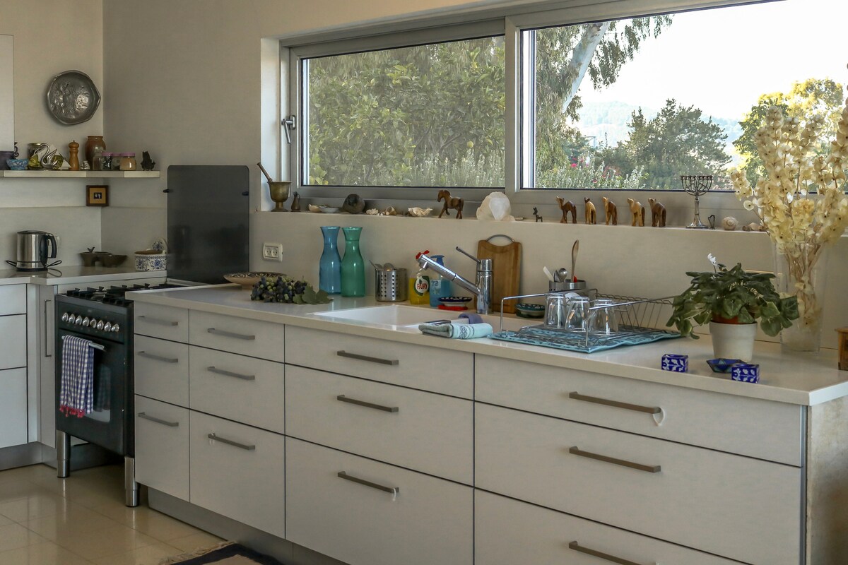 A modern kitchen features sleek cabinetry and ample counter space. Natural light floods the room through large windows, highlighting decorative items and houseplants. Essential appliances, including a stove and sink, are neatly arranged, creating a functional and inviting cooking area.