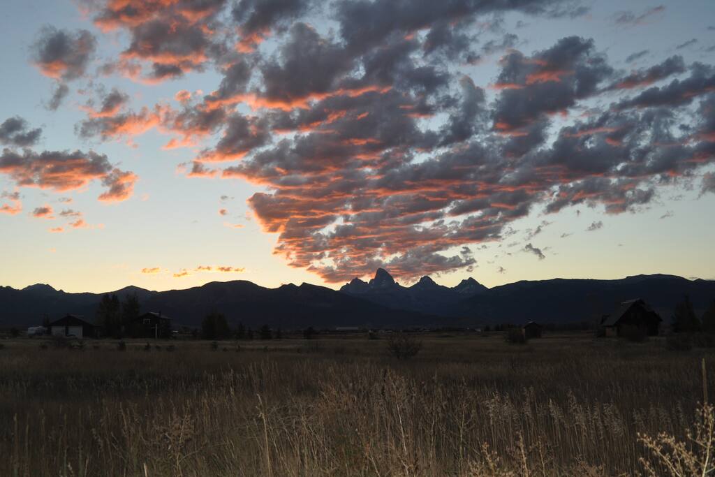 Summer view from front yard