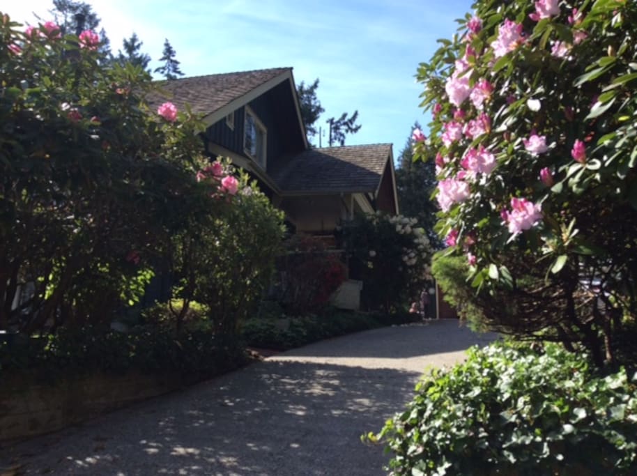 Driveway parking