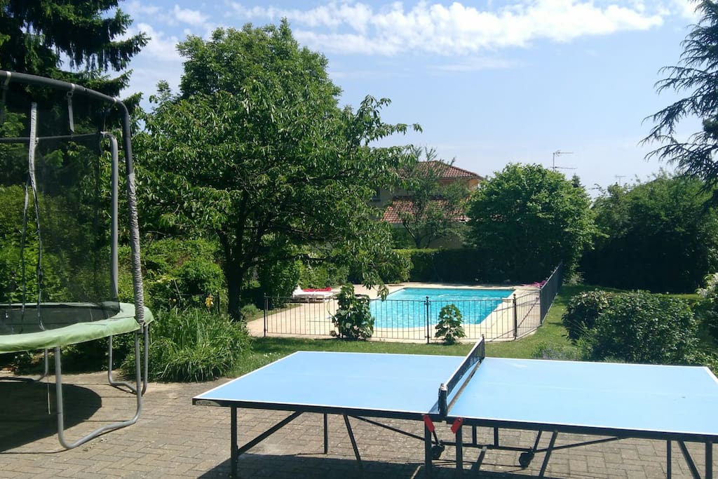 Jardin arboré , piscine