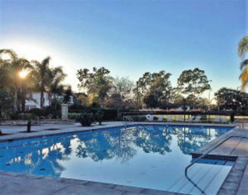 Large Pool