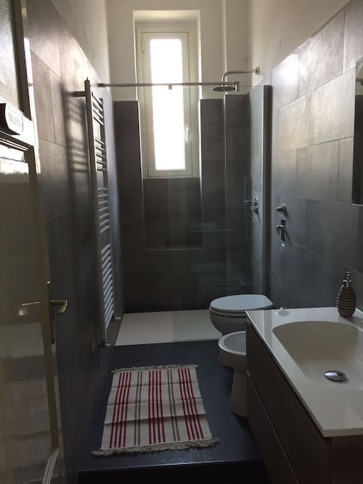 Toilet with walk-in shower