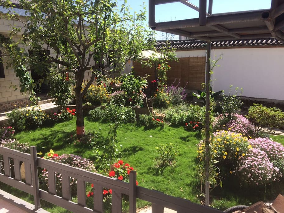 Our Garden