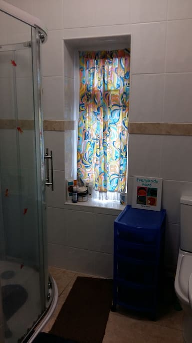 Newly installed shower in colourful bathroom, right next to room.