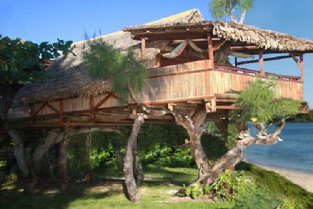 Bungalow Dans Les Arbres