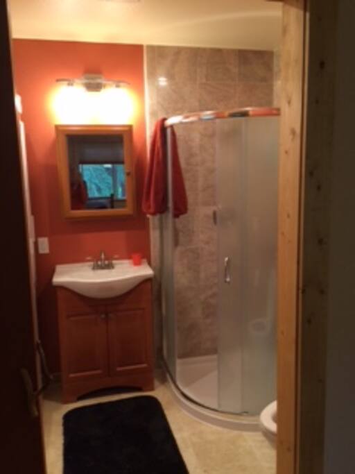 Bathroom, shower plus a washer dryer