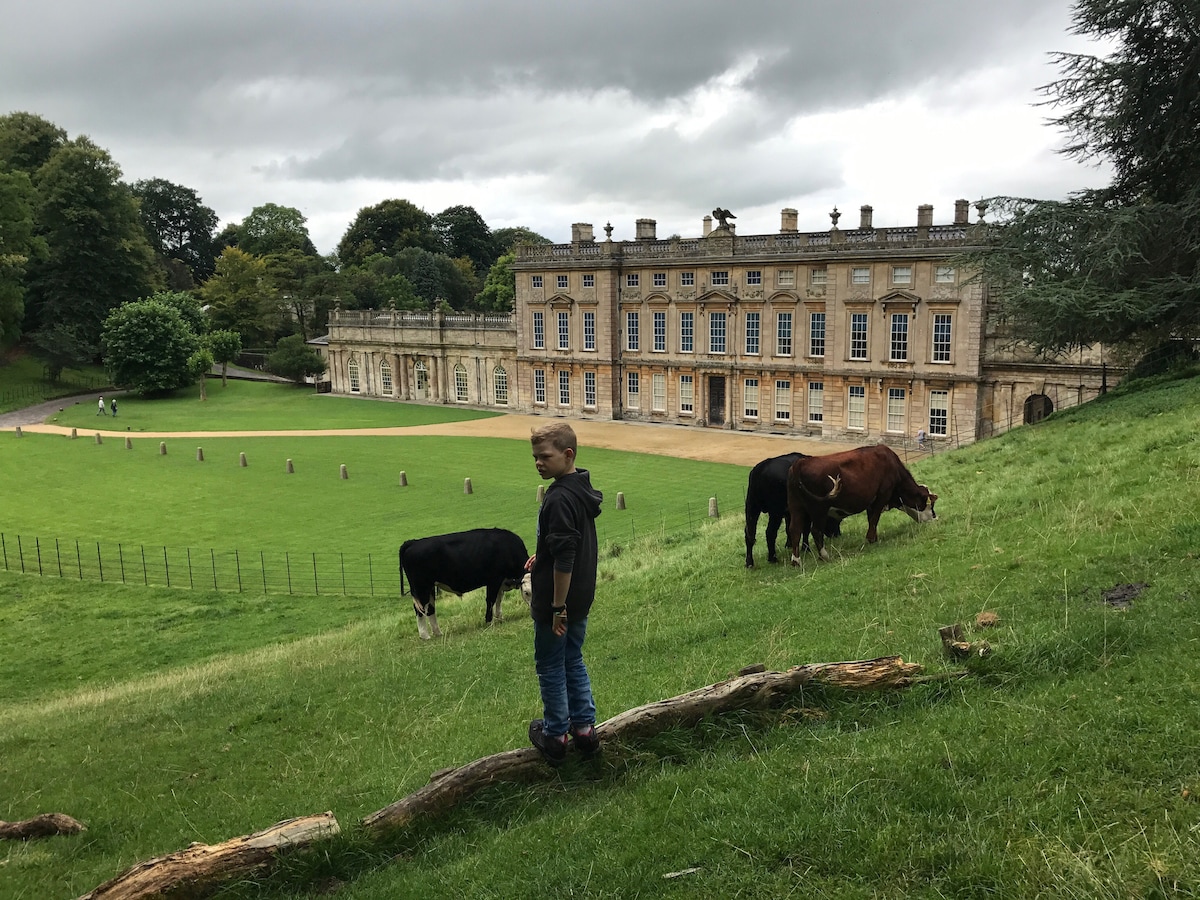 A young child stands on a grassy hill, overlooking a grand stone building with a symmetric facade and large windows. Cows are seen grazing in the foreground, with lush greenery surrounding the area under a cloudy sky.