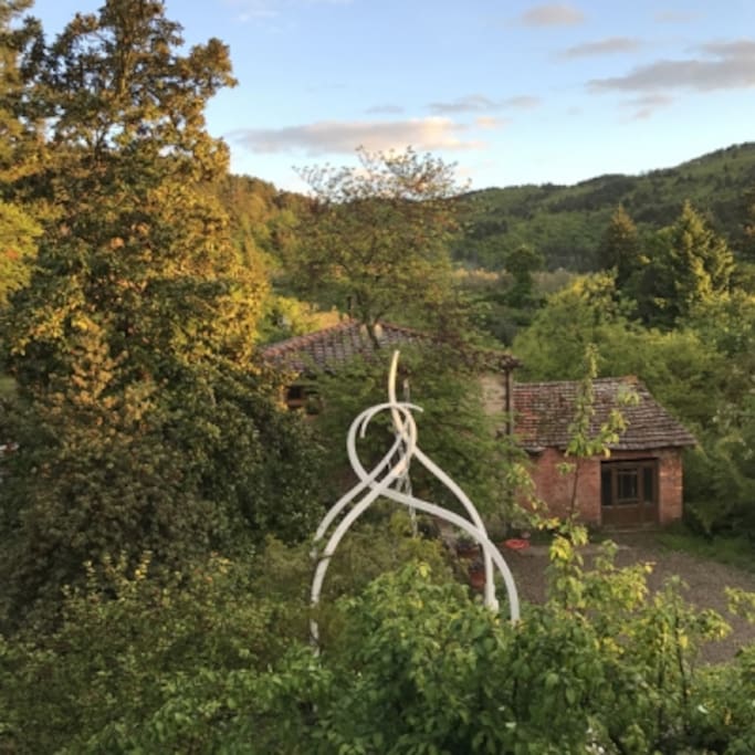Back garden