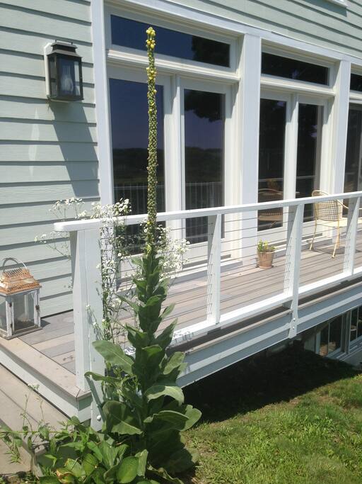 Deck overlooking harbor