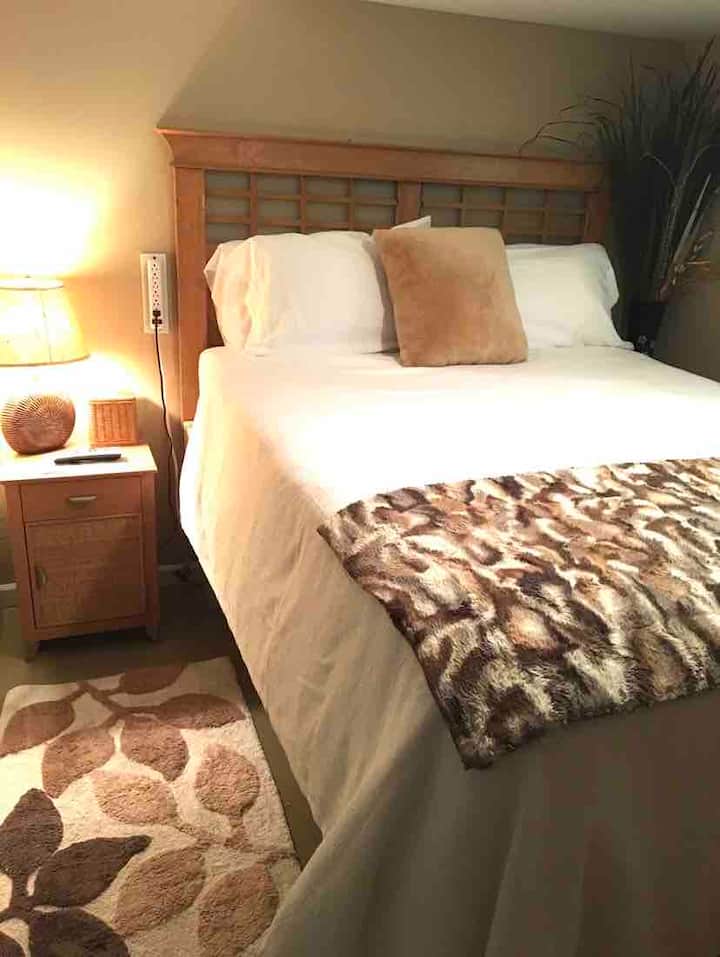 Basement bedroom with queen bed
