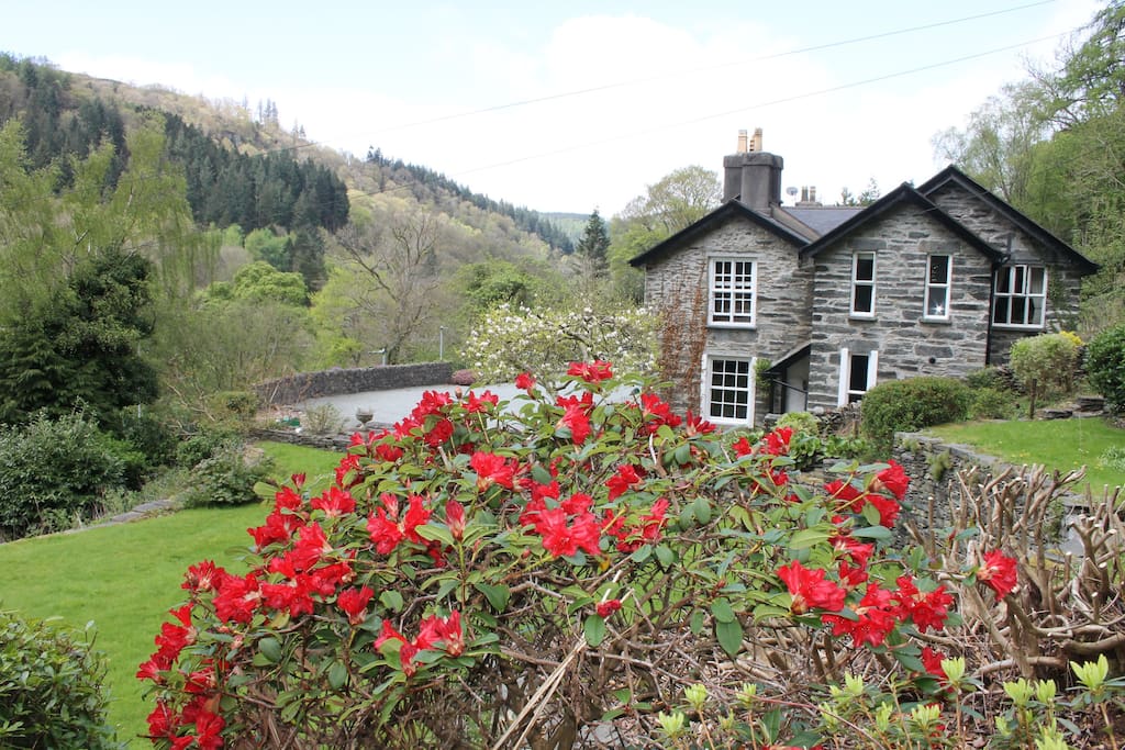 Coedfa Bach Sleeps 4 Betws Y Coed National Park Cottages For