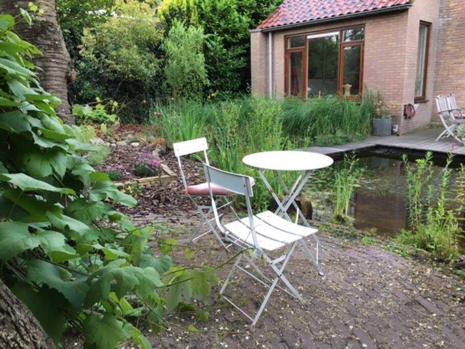 garden with pond