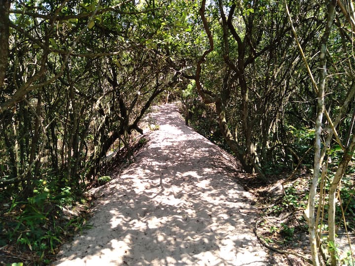 Reefifi Trail Access Beach เดิน 5 นาที 