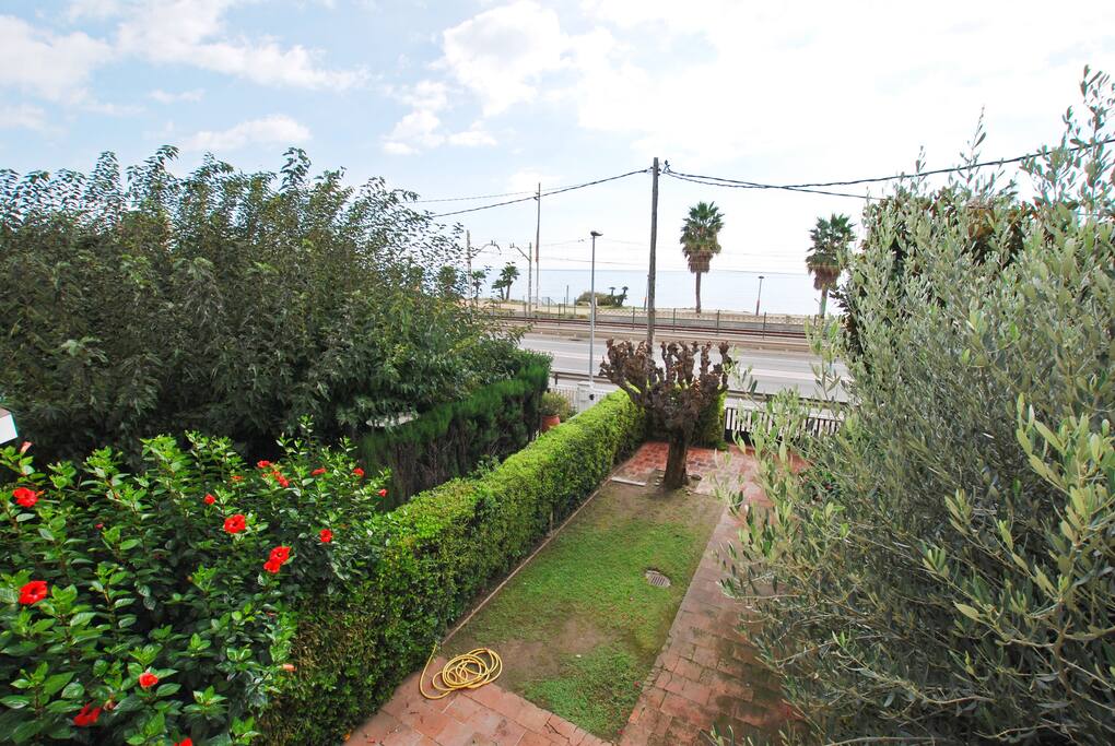 Vistas del jardín delantero