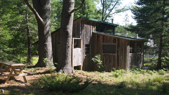 Two Pines Cabin on saltwater homestead