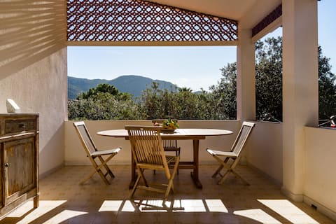Casa Pineta | A beautiful place near the beach