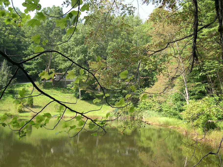 Our little lake - lots of bass and bream - and no other houses around it.