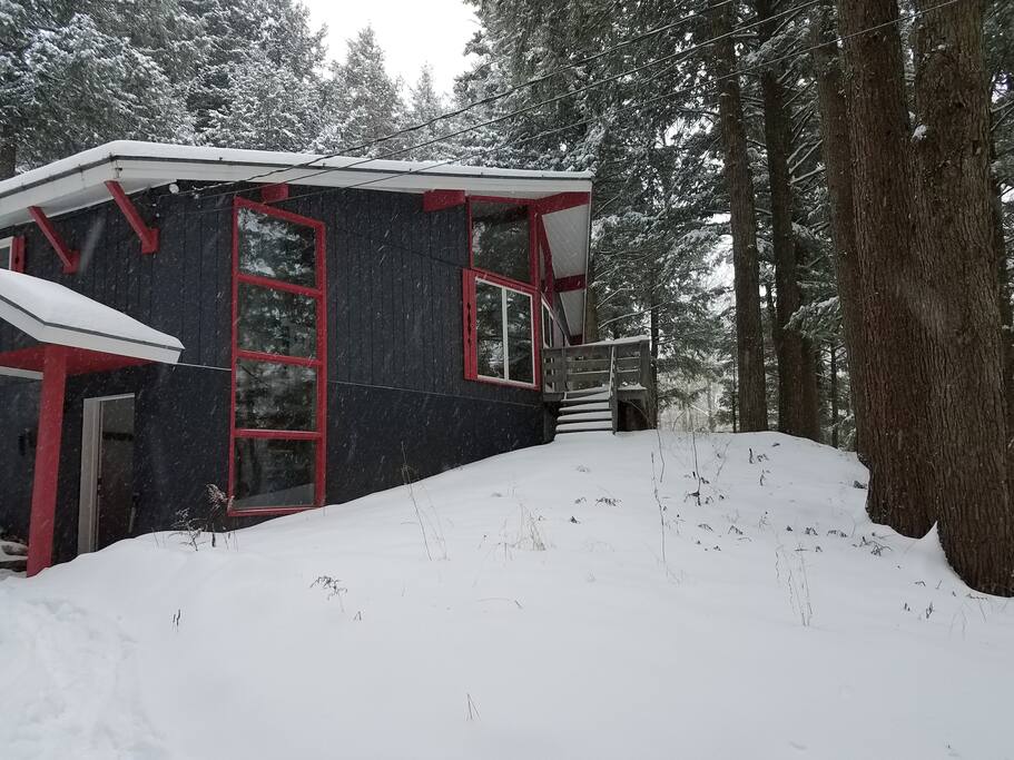 Winter in the woods