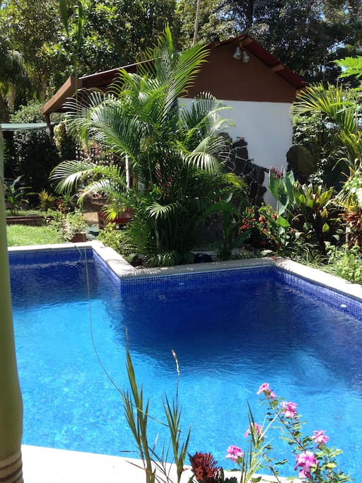 Piscina con baño completo.
Swimming pool & full extra bathroom.