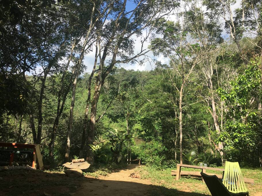 View out the backdoor