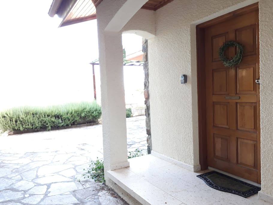 Entrance door and rosemary in the background